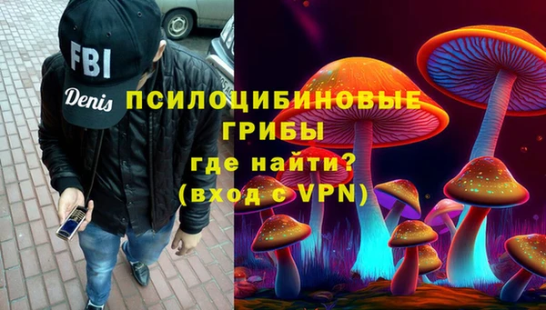 дживик Гусь-Хрустальный