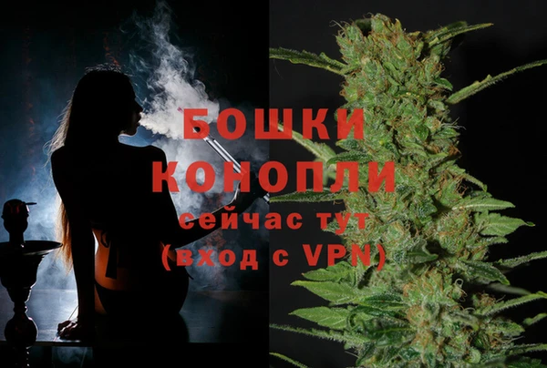 стаф Гусиноозёрск