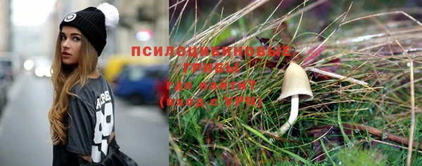 стаф Гусиноозёрск