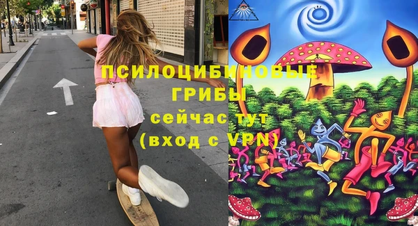 круглые Гусев