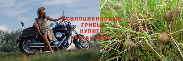 круглые Гусев