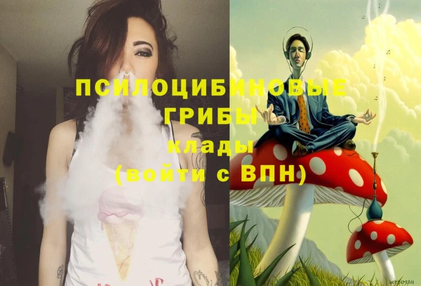 стаф Гусиноозёрск