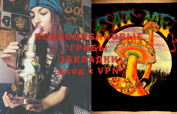 круглые Гусев
