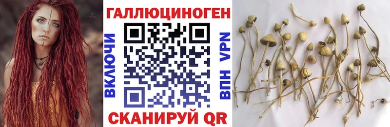Галлюциногенные грибы прущие грибы  Купить  Химки 