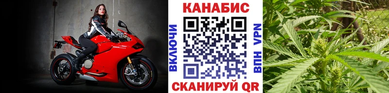 Бошки марихуана гибрид  Купить где  Химки 